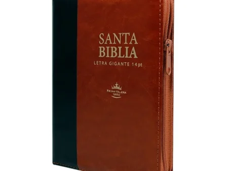 BIBLIA RVR066 NEGRA CON CAFE