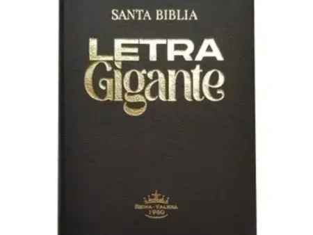 BIBLIA RVR66 ASTON NEGRO DORADO, Biblia Hombre