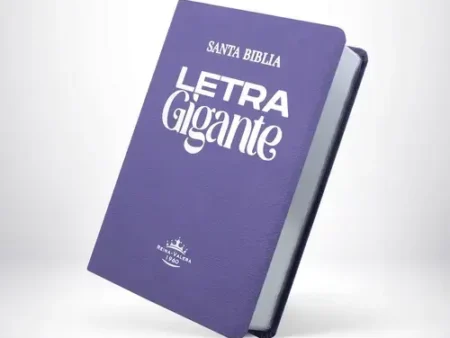 BIBLIA RVR66 ASTON LILA