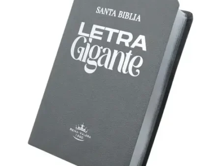 BIBLIA RVR66 ASTON GRIS