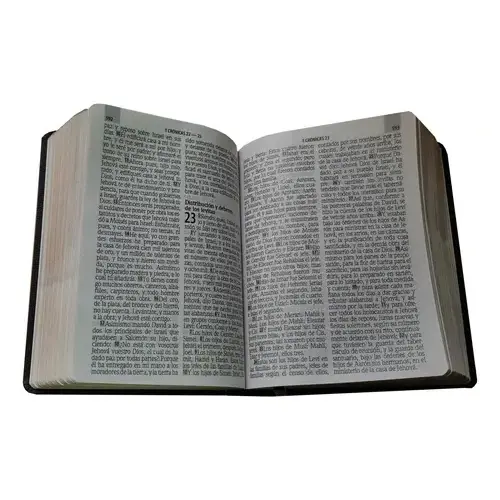 BIBLIA RVR66 ASTON GRIS - Imagen 3