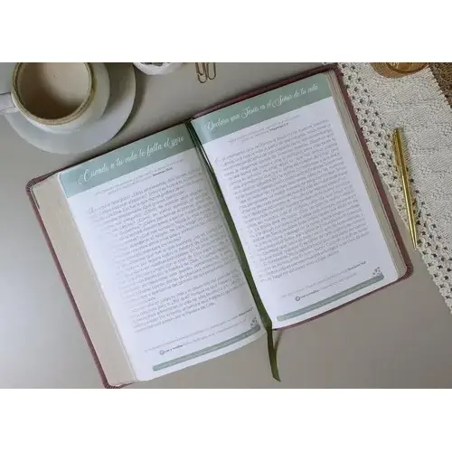 Biblia de Promesas Virtuosa RVR60 Letra Gigante Rosa - Imagen 2