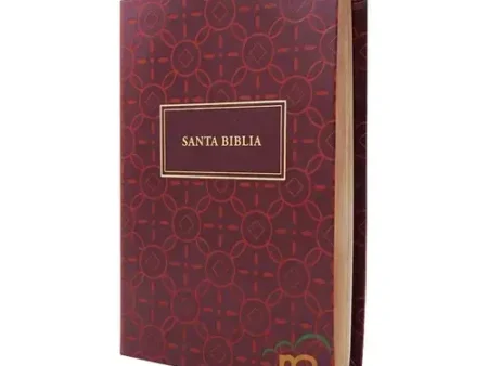Biblia RVR 1960 Neutral Simil Piel LG