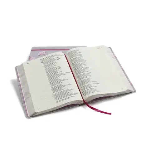 BIBLIA RVR60 APUNTES GRIS FLOREADO TELA - Imagen 2