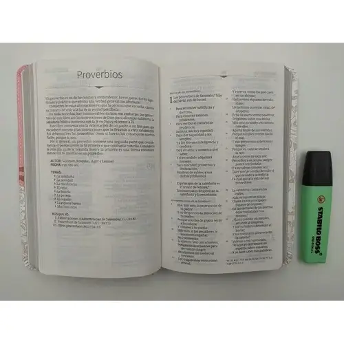 Biblia RVR60 Mis Quince Rosa Blanco - Imagen 3