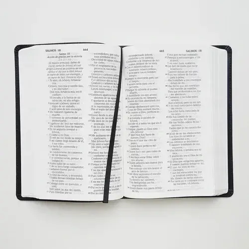Biblia RVR60 Tamaño Manual Letra Grande /piel NEGRO - Imagen 3