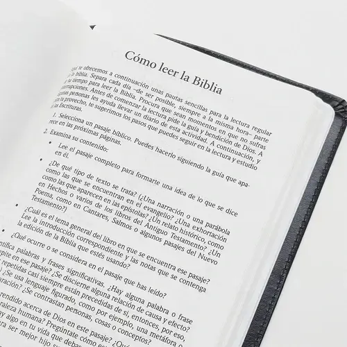 Biblia RVR60 Tamaño Manual Letra Grande /piel NEGRO - Imagen 4