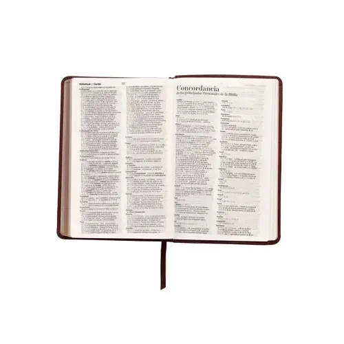 Biblia Reina Valera 1960 Tamaño Manual Letra Grande Canto Dorado - Imagen 4
