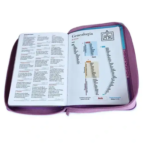Biblia RVR60 Tricolor Portátil Letra Grande con Cierre - Imagen 2